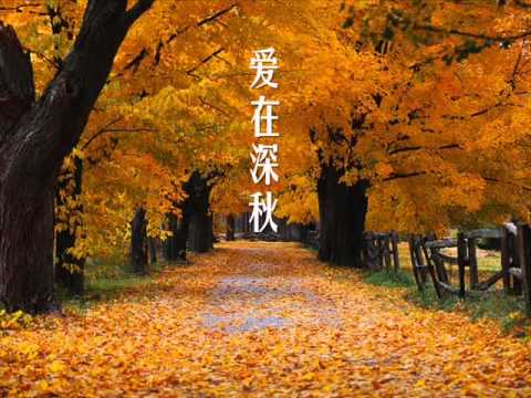 愛在深秋
